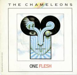 The Chameleons : One Flesh